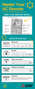 Remote infographic