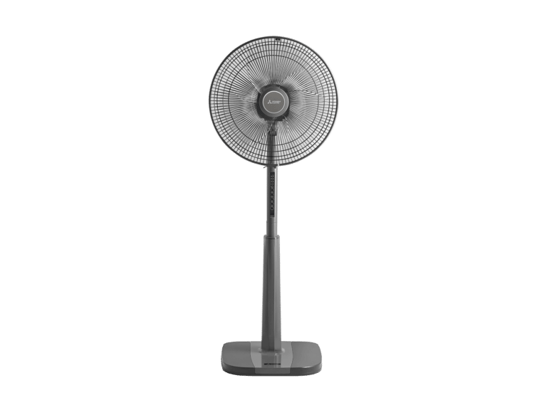 Pedestal Fan