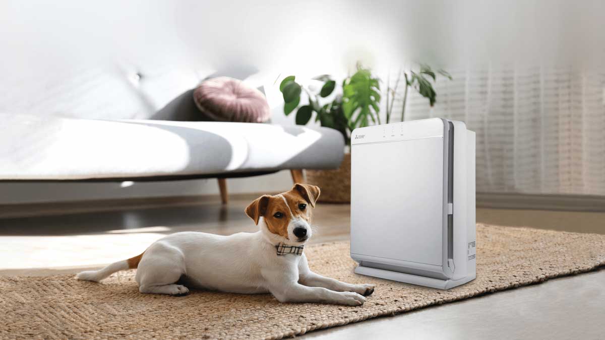 Air purifier for the home with kids or pets