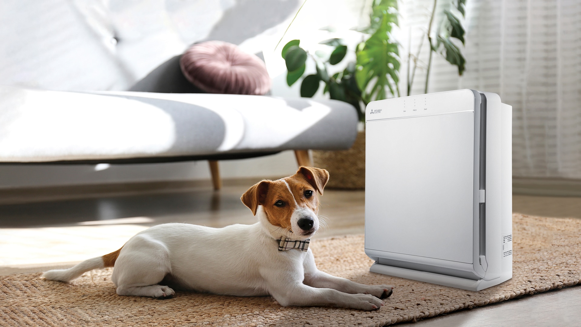 Homepage – Carousel Items-Home – Air Purifier_v2