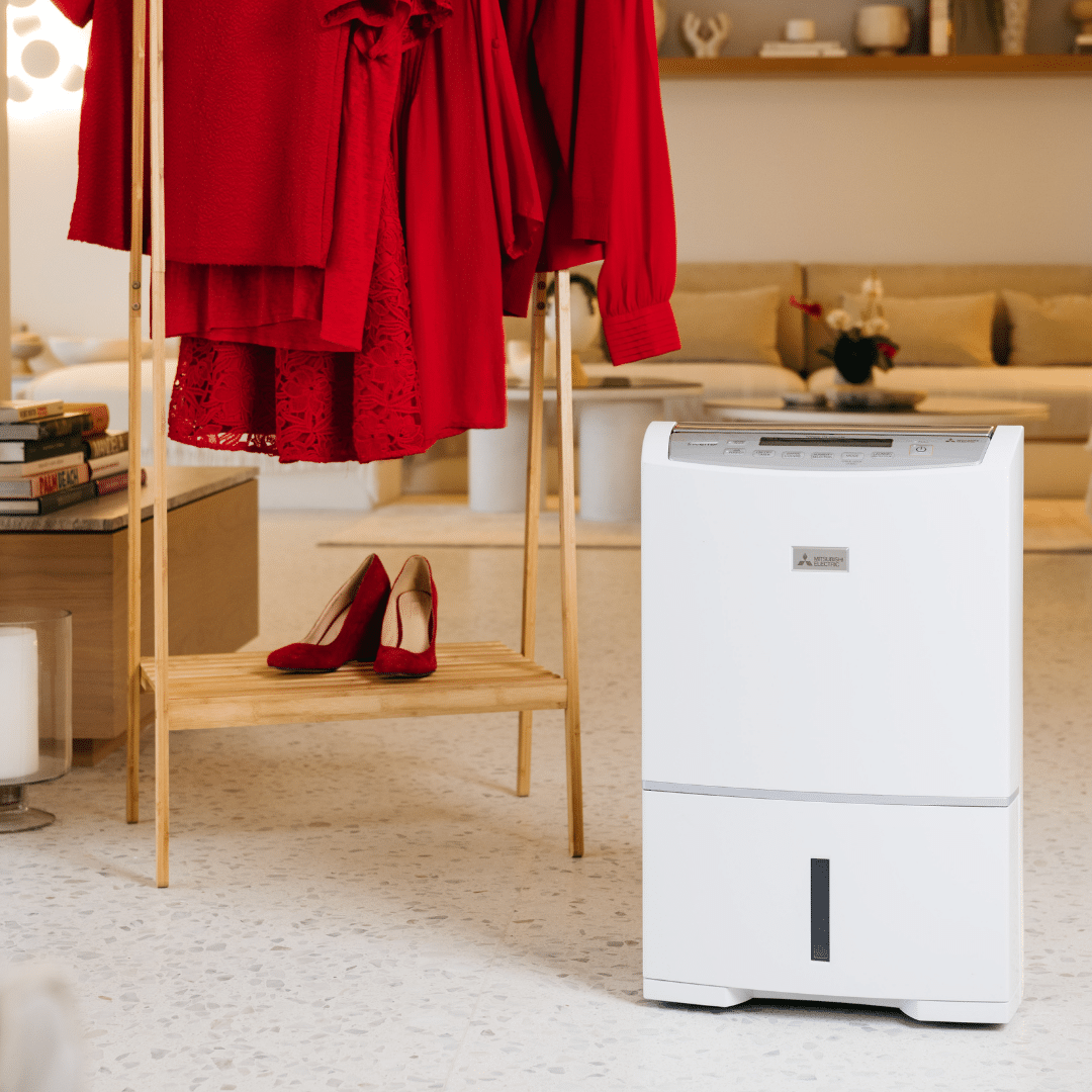 Do I need a Dehumidifier if I have an Air