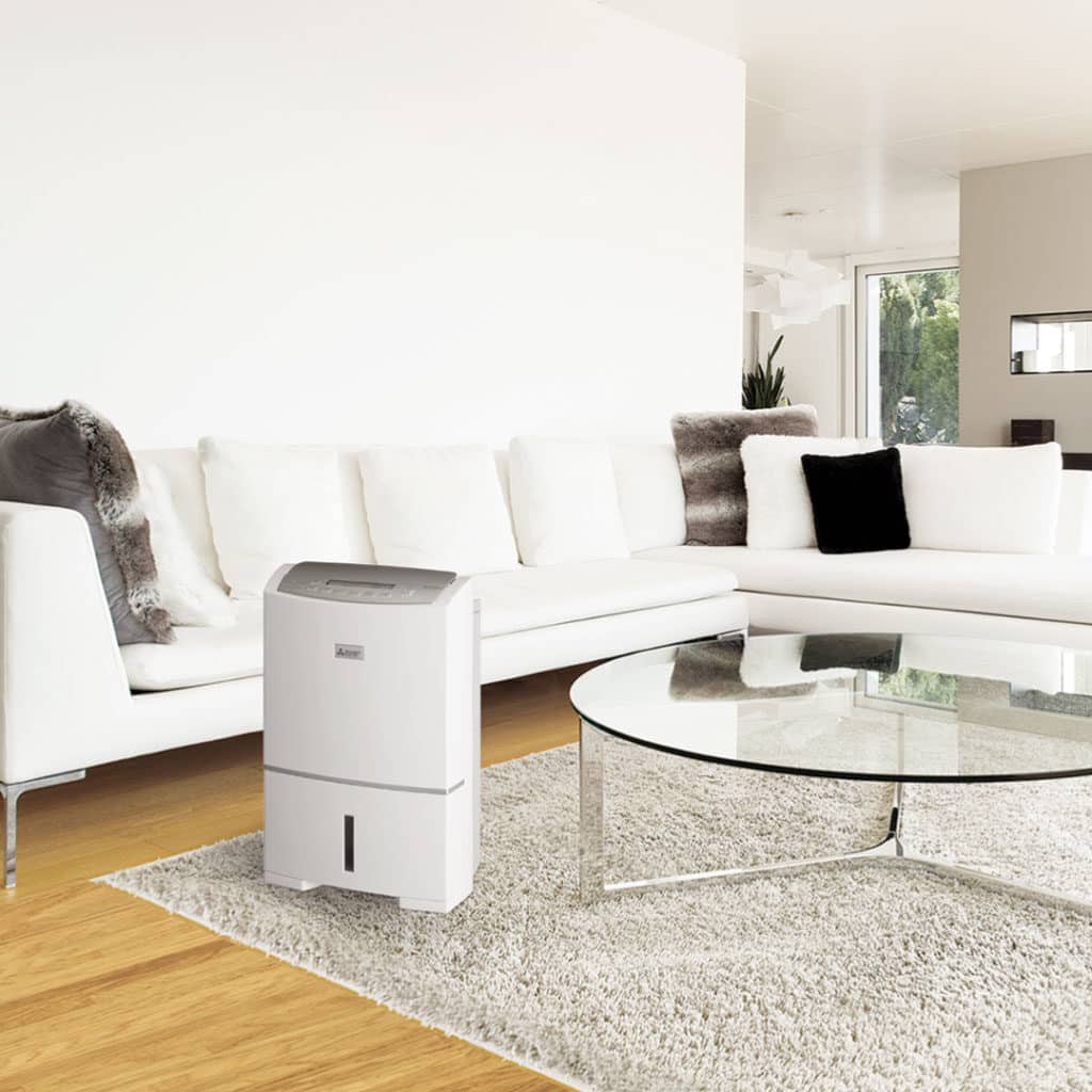 The Five Most Important Features to Dehumidify Your Home