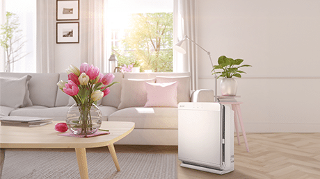 Air Purifier for residential living.