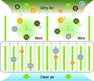 How Plasma Quad Connect Works
