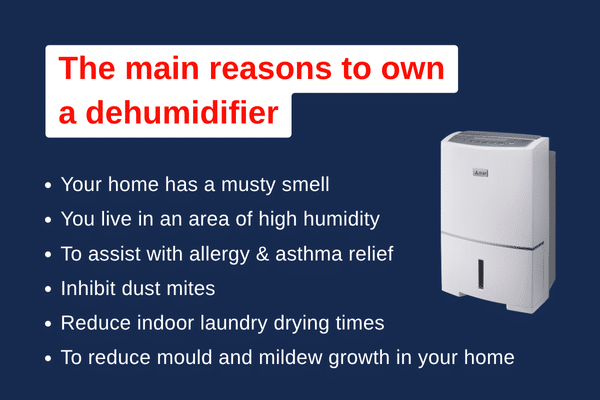 Dehumidifier reasons to own blog