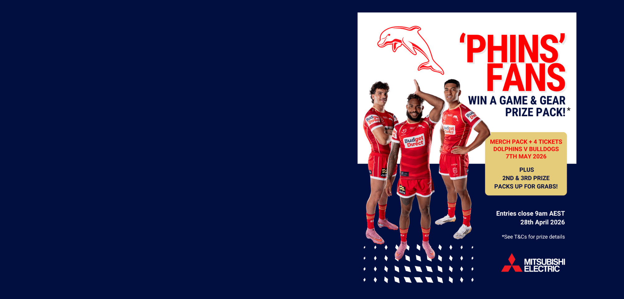 Promo page banner- dolphins 200426